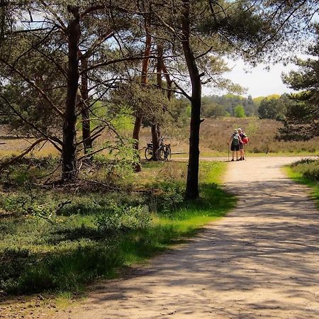 Luxe Woodlodge In Een Prachtige En Bosrijke Omgeving Bornerbroek المظهر الخارجي الصورة
